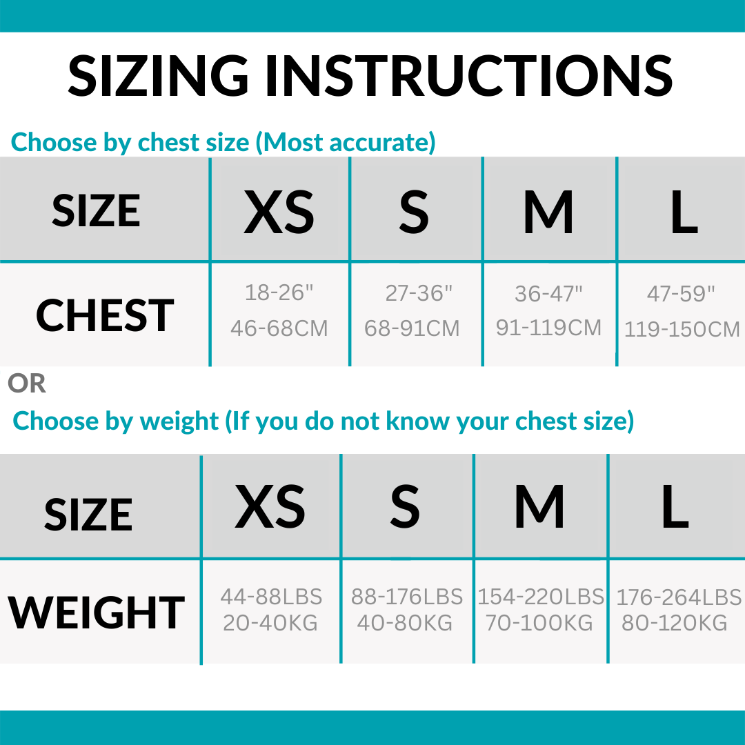 The Posture Correctorâ˘