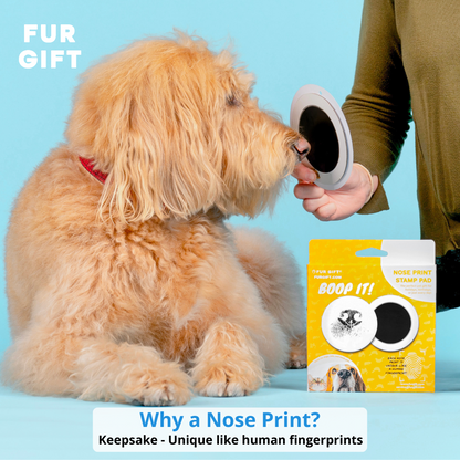 Pet Nose Print Stamp Kit