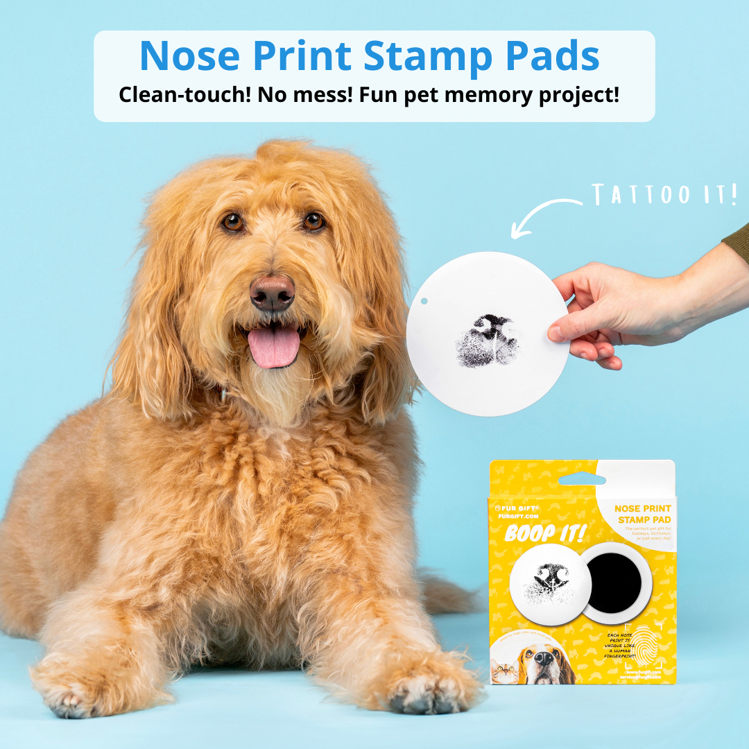 Pet Nose Print Stamp Kit