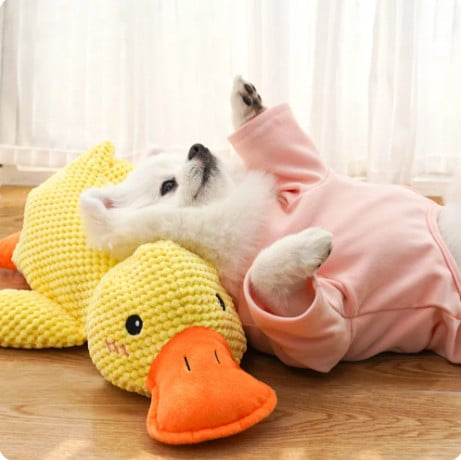 Soothing Quack™ Calming Duck